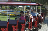 Pumpkin Patch Choo Choo with Uncle Rob and Grace