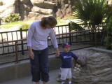 Will Showing Mom Alligator Eggs at the Zoo