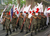 Soldiers with Red Cross flags