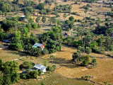 Rice paddies with buildings, dry season