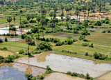Rice paddies, rainy season