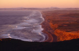 Point Reyes National Seashore [35mm]