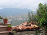 Cat on tile roof - Molyvos, Lesvos