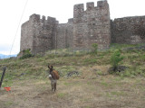 Donkey at Molyvos Castle, Lesvos