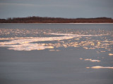 Ice floating in with the tide