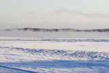Fog across the Moose River in early December