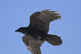Overhead