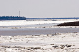 Looking towards hydro towers upriver at 3:22 pm April 25th