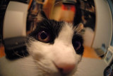 January 26 2007