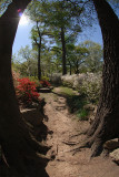April 4 2007