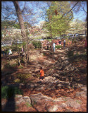 04012007-WP-08