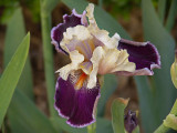 04222007-040