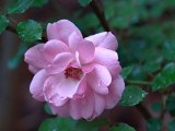 May 1 2007
