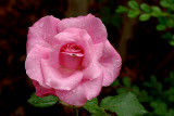 May 2 2007