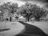 05112007-030