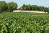 Château Margaux, 1er cru classé dans l'appellation Pauillac