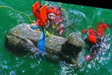 Photo d'une image extraite d'un film présentant les recherches sous-marines de l'équipe française