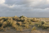 Balade dans la baie d'Authie le lundi 1er janvier 2007 avec un vent de 100-120 km/h !