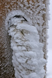 Fleurs de glace au sommet du puy Pariou
