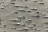 Sur la plage du Touquet