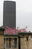 Dans le cimetire de Montparnasse