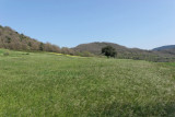 Vacances dans le Languedoc- Promenade prs de Lodve