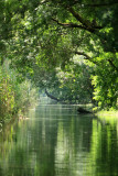Promenade sur une rivière proche de Syracuse