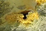 Gaz souffré au sommet du volcan de l'île de Volcano