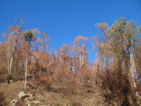 One Million Hectares