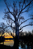 Deniliquin Sunset