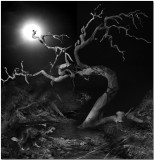 Ghost Tree