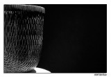 1/19 - Basket In The Light