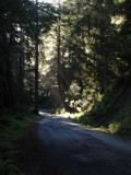 From the Dry Creek Road,Sonoma II