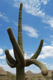 Pinnacle Peak