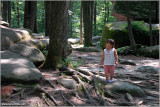 Loving the Allegany Forest