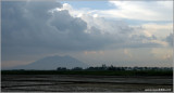 Candaba Wetlands