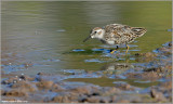 DSC_4090w.jpg