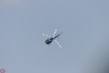 Ecureuil EC145