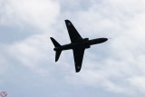 Hawk