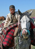 Qashqai nomad boy