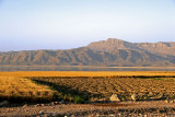Daryacheh-ye Maharlu salt lake