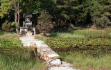 Lotus pond shrine