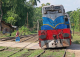 Train crossing at Maho