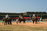 Ceylon Elephant Polo Association Tournament