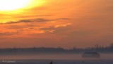 IMG_7087.jpg