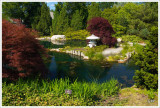20070513_LewisGinterBotanicalGarden_60_sm.jpg