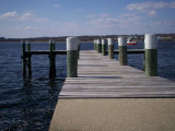 A not-so-long-dead pier.