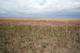 One Side Of The Road, Badlands National Park, South Dakota