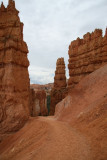 Bryce Canyon National Park, Utah