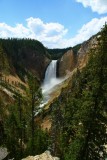 Lower Falls, Yellowstone Canyon, Yellowstone National Park